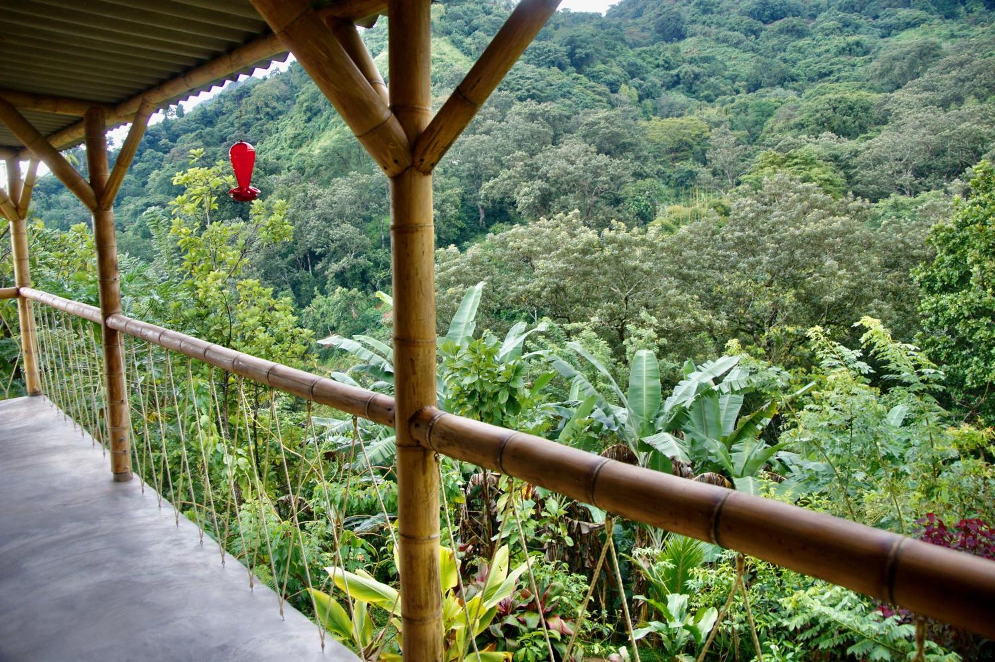 Hostal Vista Verde Minca Zewnętrze zdjęcie
