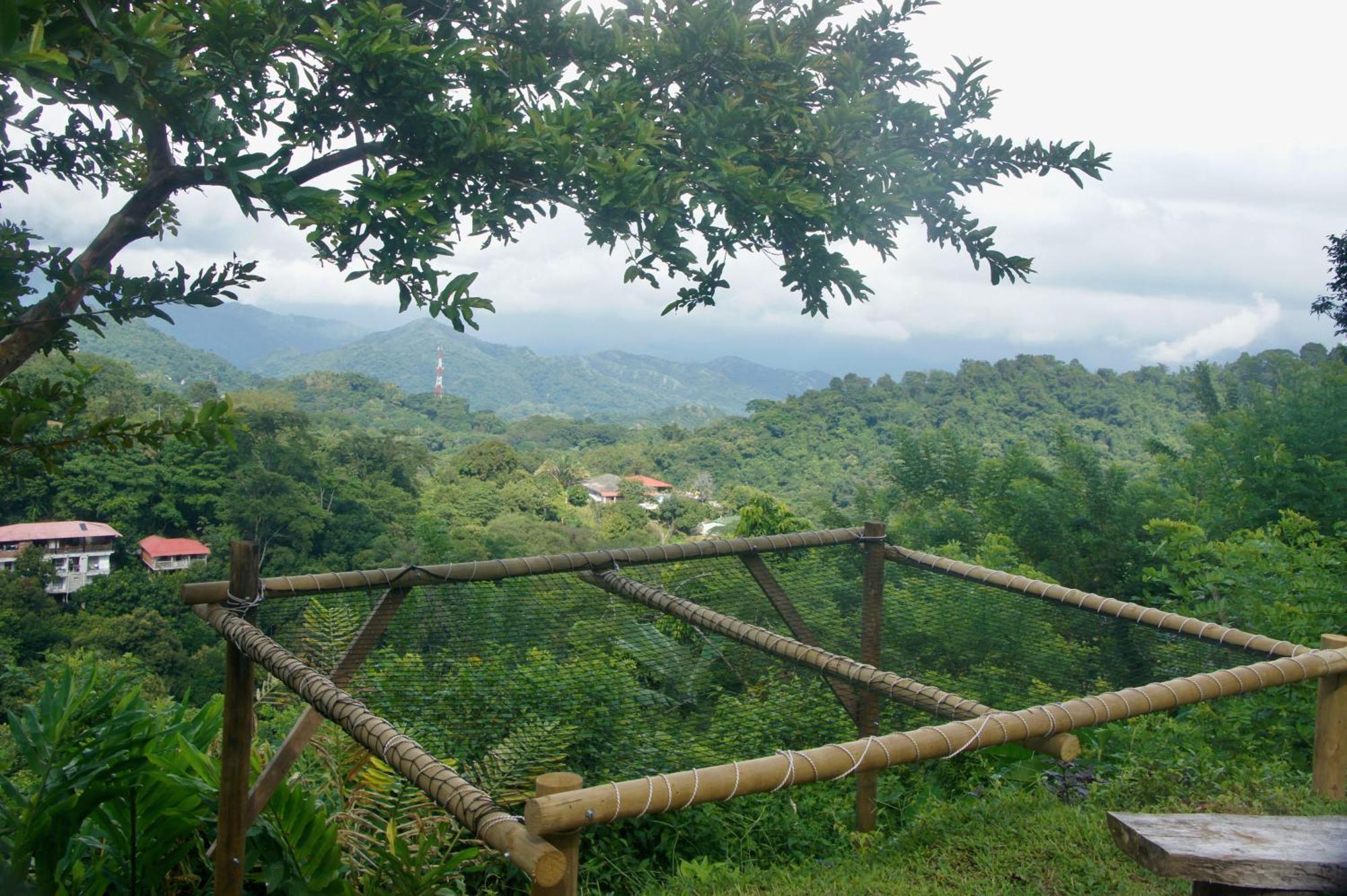 Hostal Vista Verde Minca Zewnętrze zdjęcie