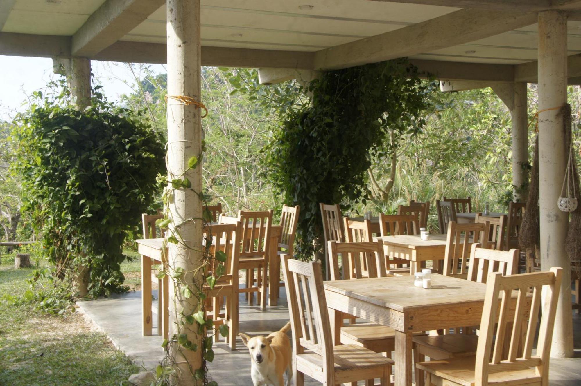 Hostal Vista Verde Minca Zewnętrze zdjęcie